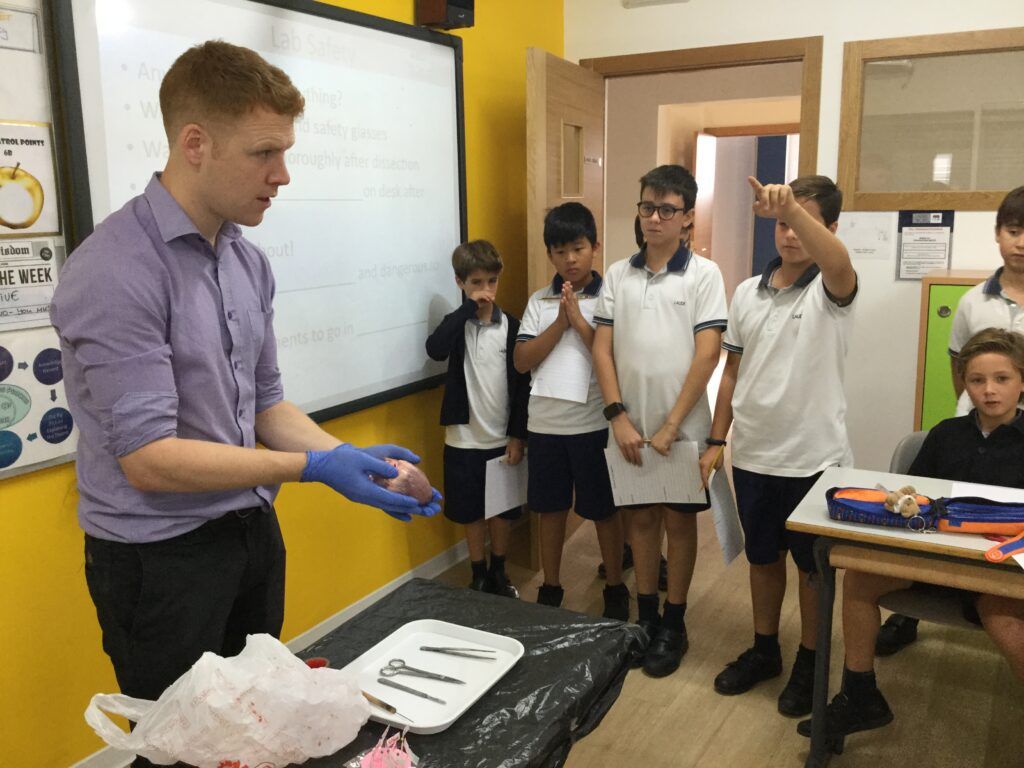 Laude BSV Year 6 students dissect a heart
